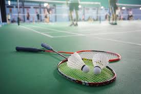 2. 3. 2019 DP v Badmintonu – Novo mesto