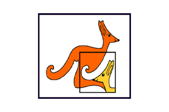 Diamantna priznanja iz matematičnega tekmovanja kenguru