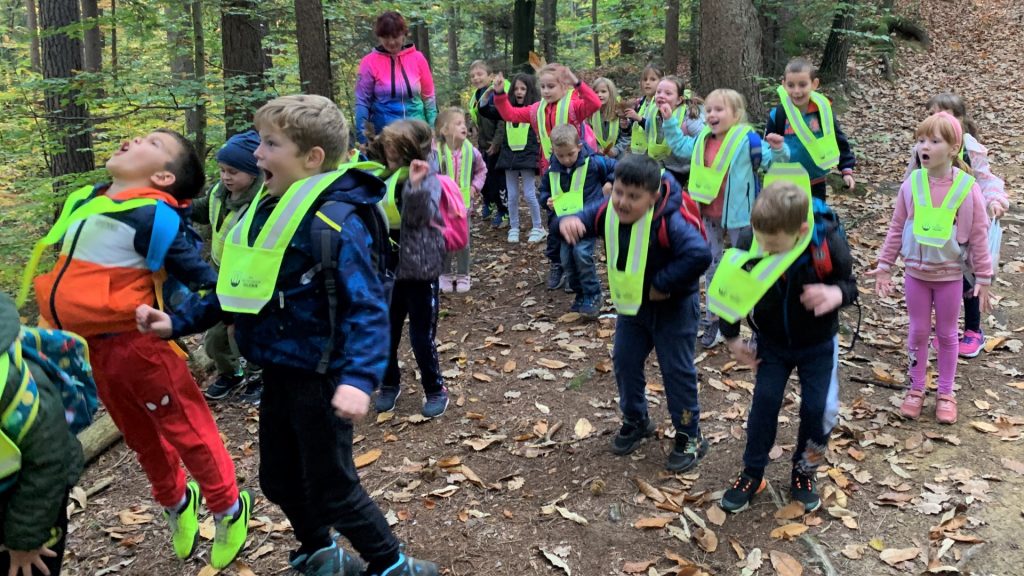 Prvošolci so se odpravili v gozd po znanje