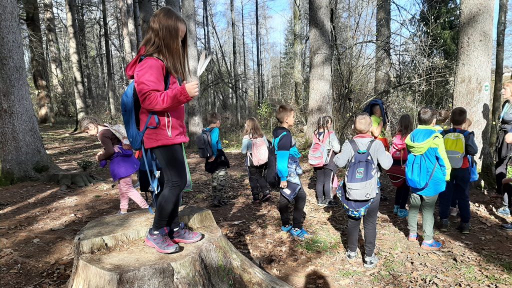 Tretješolci smo raziskovali gozd