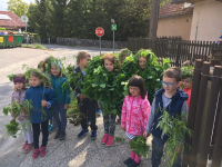 24. 4. 2017 – Osmošolci v vrtcu Kekec