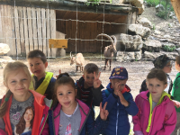 31. 5. 2019 – Živalski vrt Ljubljana