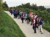 5. 10. 2017 – Orientacijski pohod po vrhu Grmade