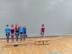 Tekmovanje iz gimnastike
